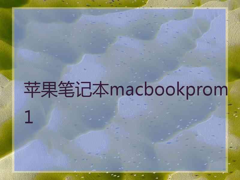 苹果笔记本macbookprom1