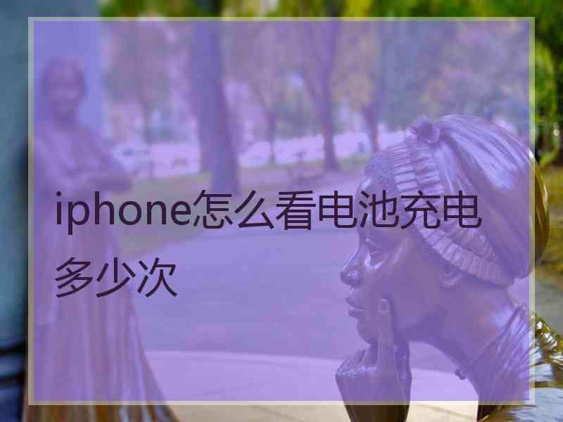 iphone怎么看电池充电多少次