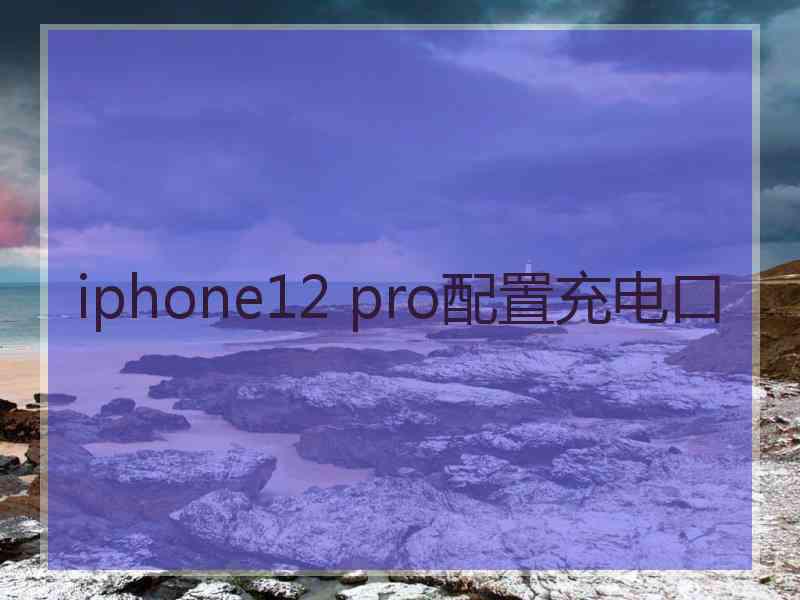 iphone12 pro配置充电口