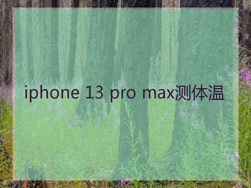 iphone 13 pro max测体温