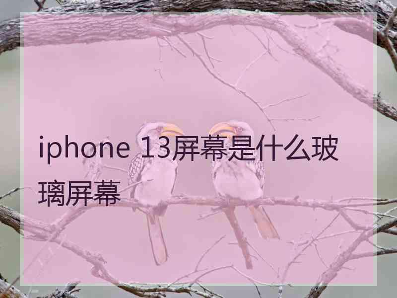 iphone 13屏幕是什么玻璃屏幕