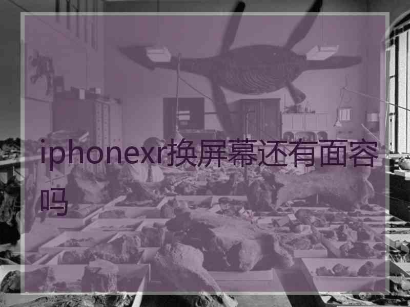 iphonexr换屏幕还有面容吗