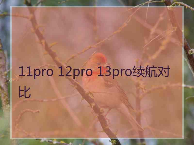 11pro 12pro 13pro续航对比