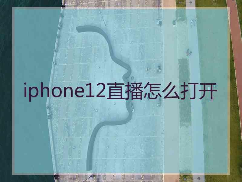 iphone12直播怎么打开