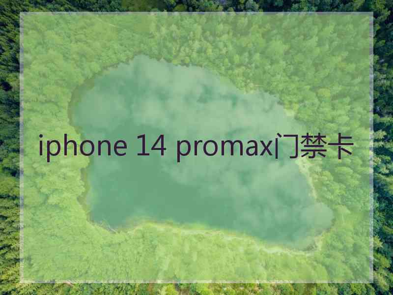 iphone 14 promax门禁卡