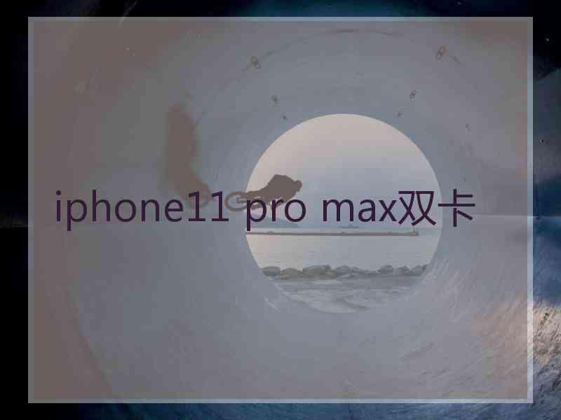 iphone11 pro max双卡