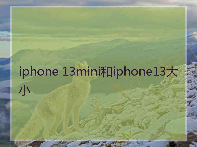 iphone 13mini和iphone13大小