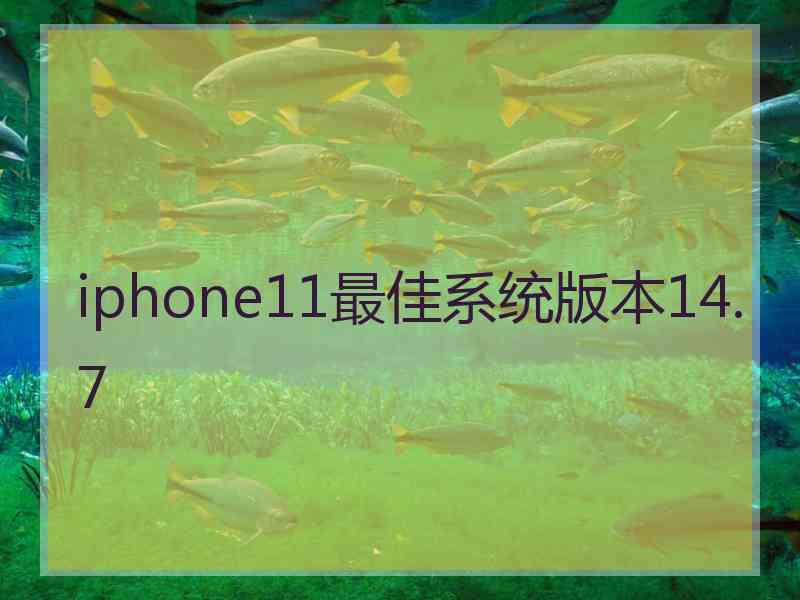 iphone11最佳系统版本14.7