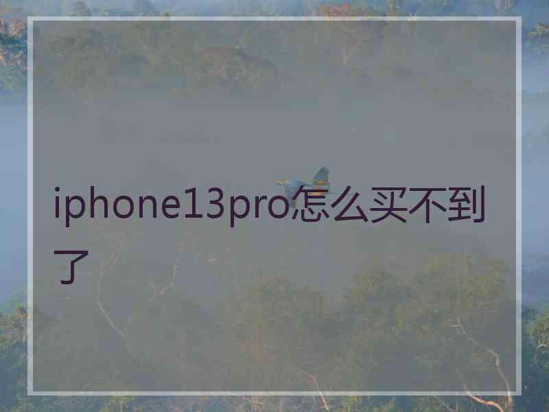 iphone13pro怎么买不到了