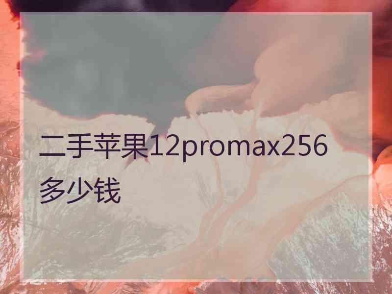 二手苹果12promax256多少钱