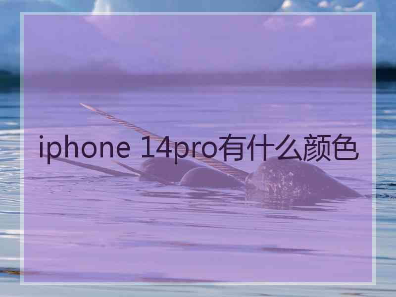 iphone 14pro有什么颜色