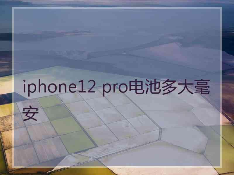 iphone12 pro电池多大毫安