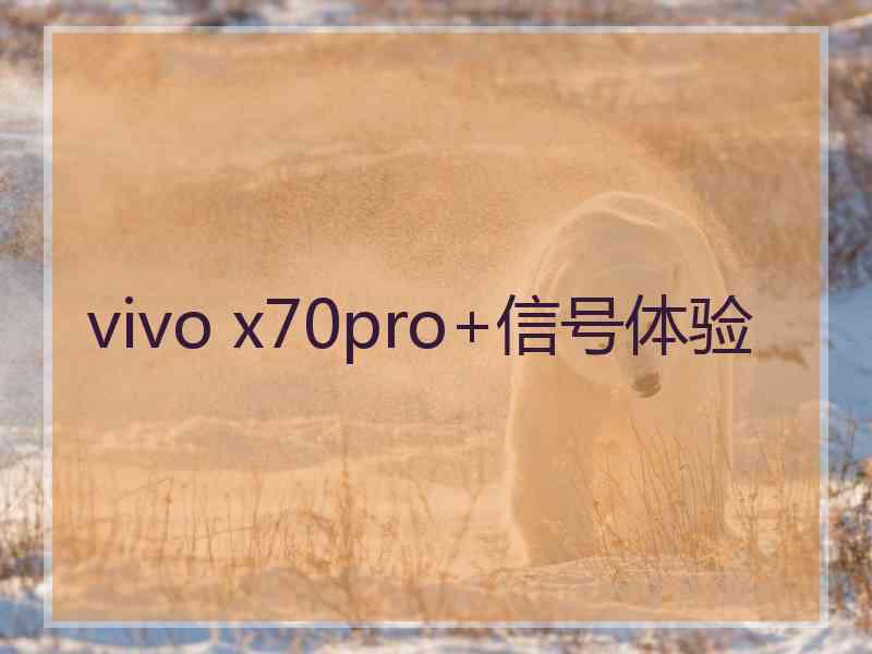 vivo x70pro+信号体验