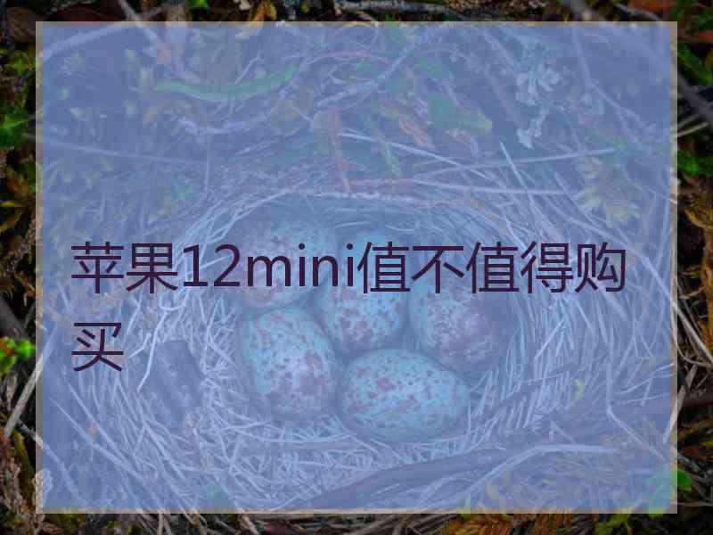 苹果12mini值不值得购买