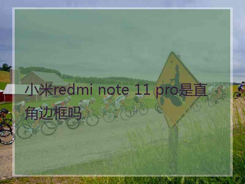 小米redmi note 11 pro是直角边框吗