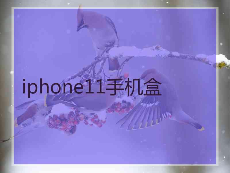 iphone11手机盒