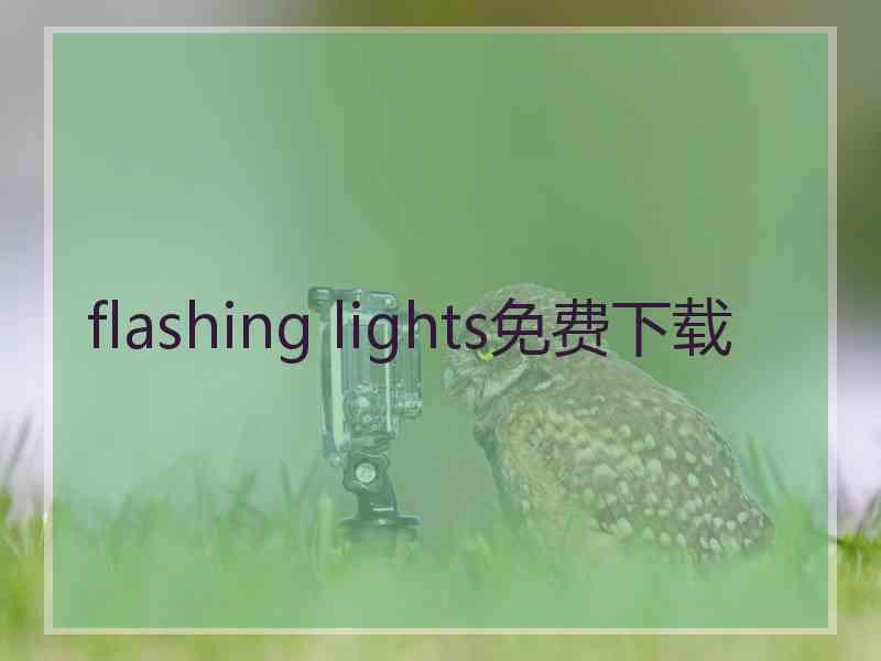 flashing lights免费下载