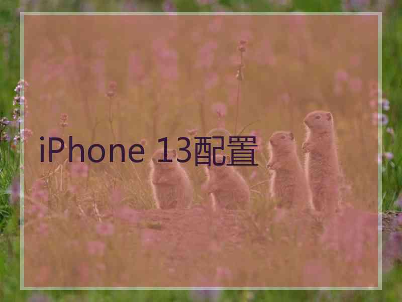 iPhone 13配置