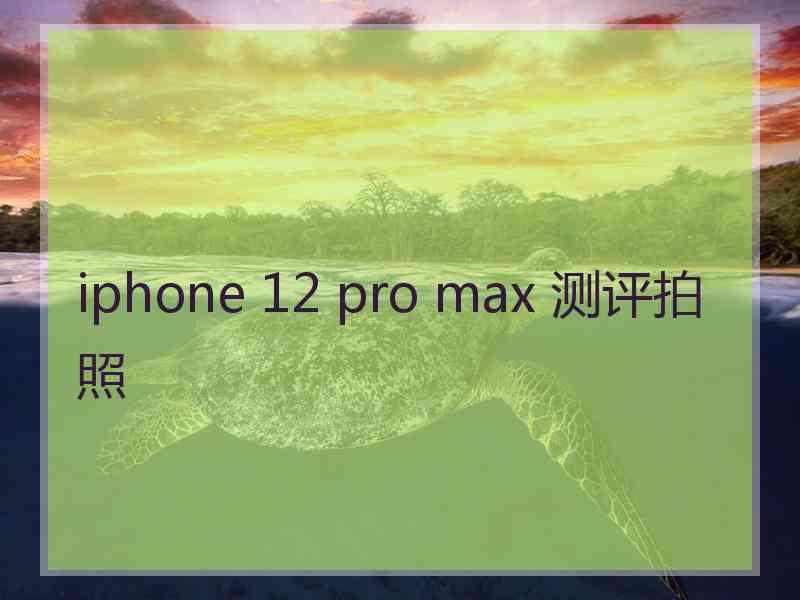 iphone 12 pro max 测评拍照