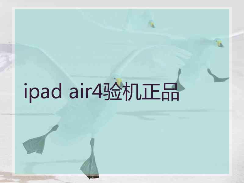 ipad air4验机正品