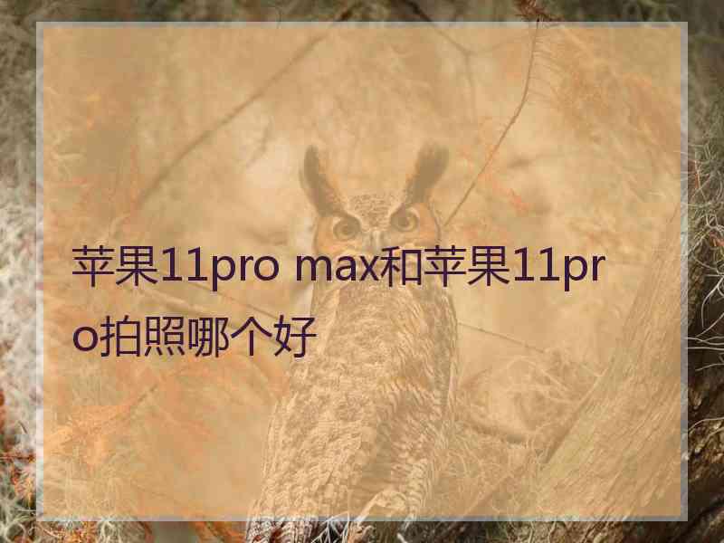 苹果11pro max和苹果11pro拍照哪个好