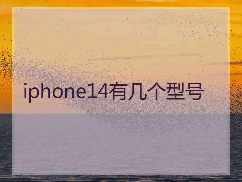 iphone14有几个型号