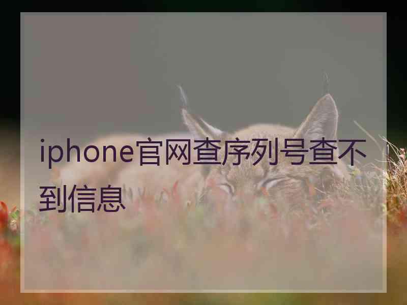 iphone官网查序列号查不到信息