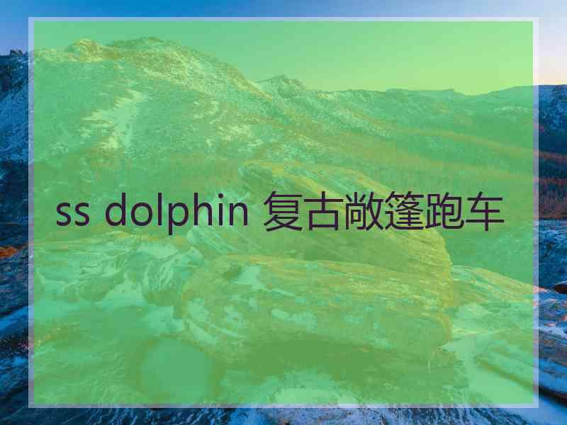 ss dolphin 复古敞篷跑车