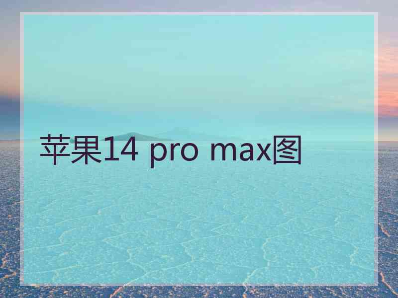 苹果14 pro max图