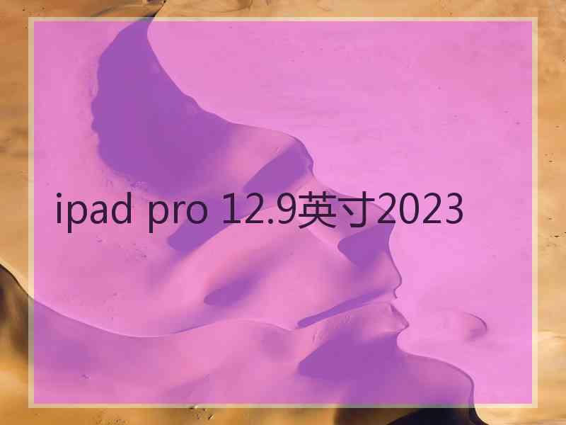 ipad pro 12.9英寸2023