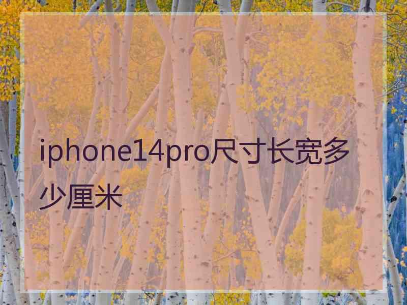 iphone14pro尺寸长宽多少厘米