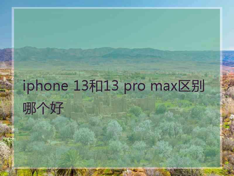 iphone 13和13 pro max区别哪个好