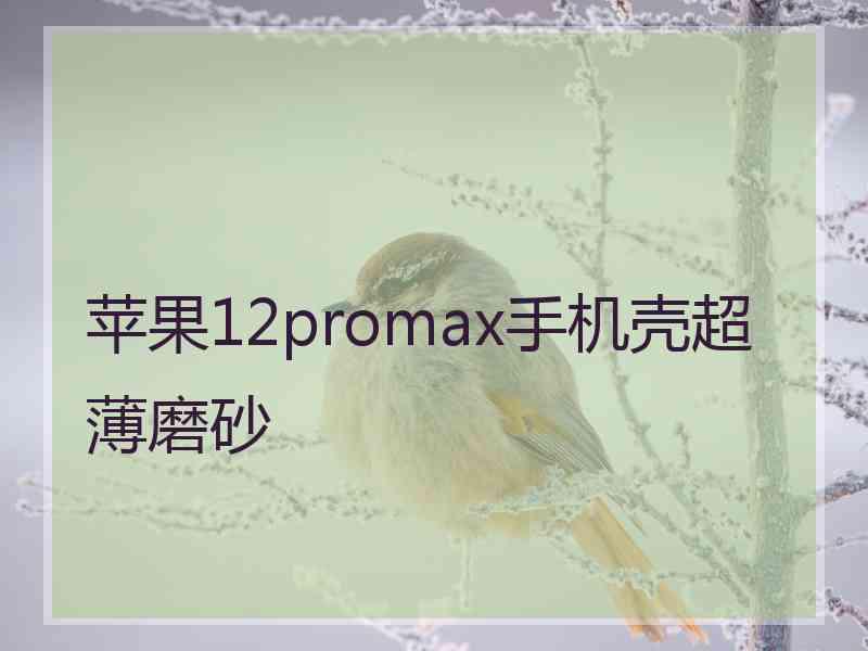 苹果12promax手机壳超薄磨砂