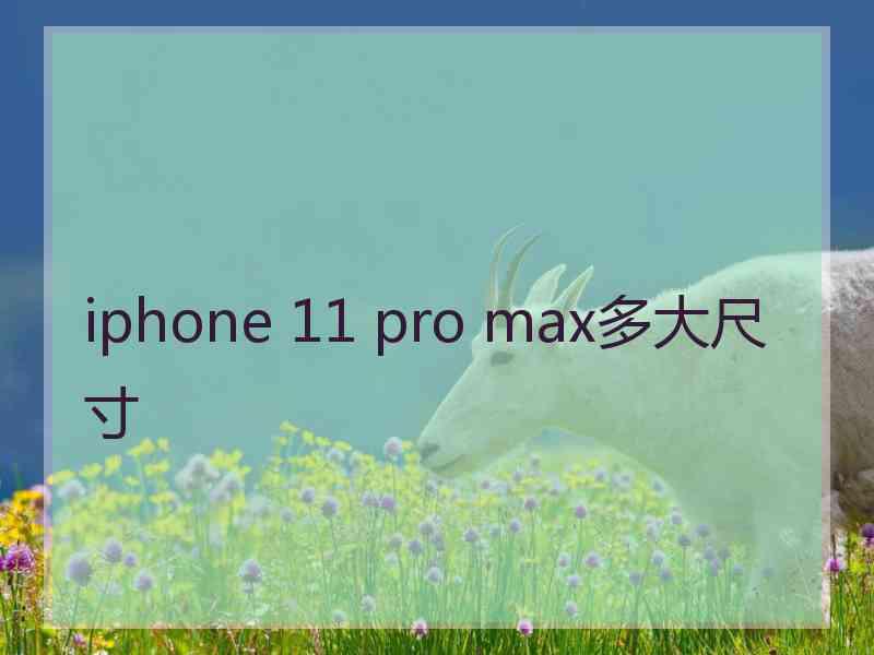 iphone 11 pro max多大尺寸