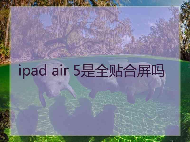 ipad air 5是全贴合屏吗