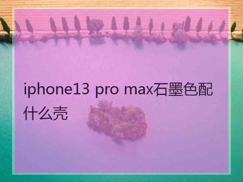 iphone13 pro max石墨色配什么壳