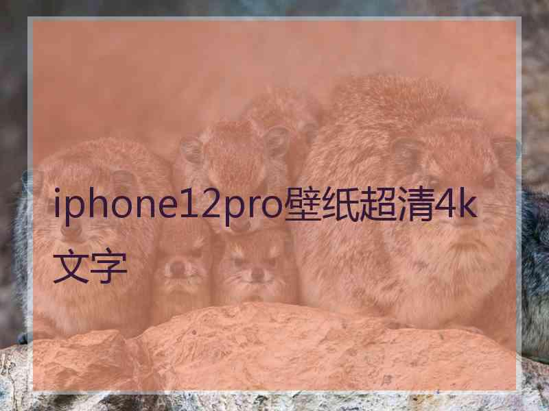 iphone12pro壁纸超清4k文字