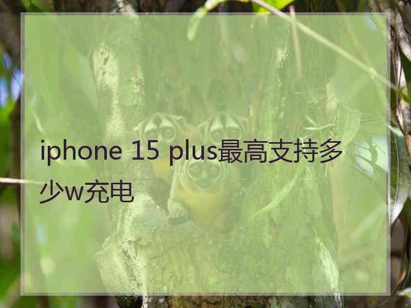 iphone 15 plus最高支持多少w充电