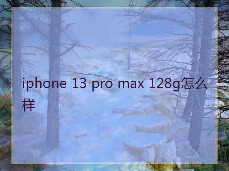 iphone 13 pro max 128g怎么样