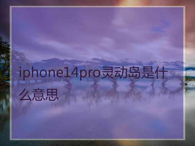 iphone14pro灵动岛是什么意思