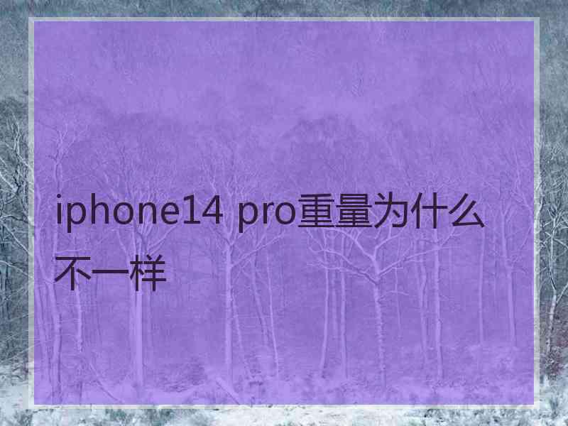 iphone14 pro重量为什么不一样