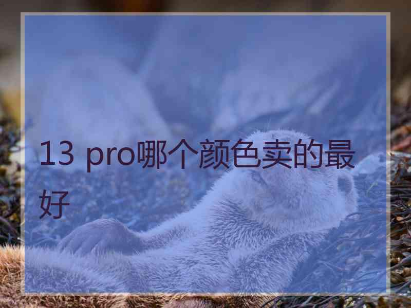 13 pro哪个颜色卖的最好