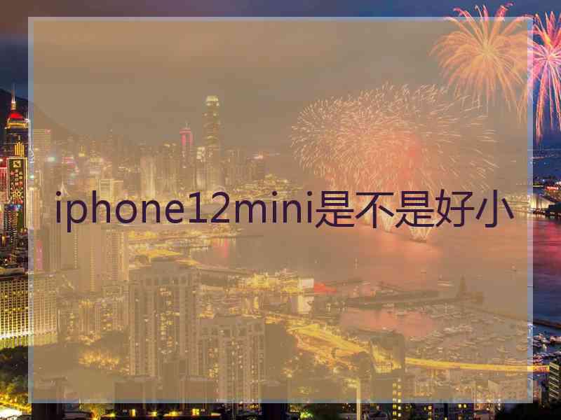 iphone12mini是不是好小