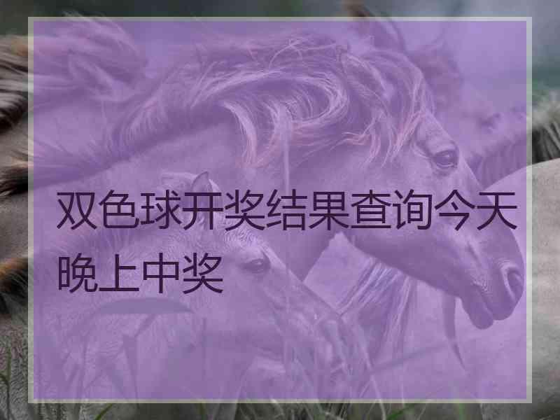 双色球开奖结果查询今天晚上中奖