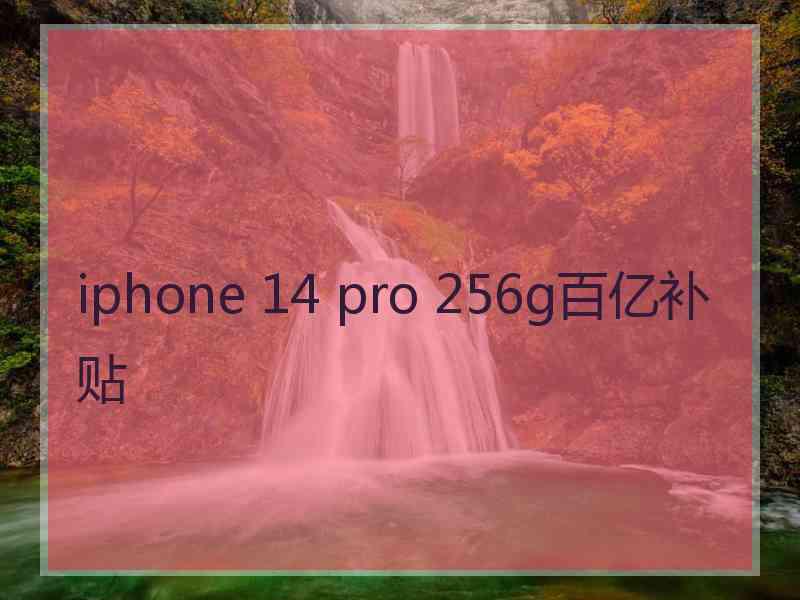 iphone 14 pro 256g百亿补贴