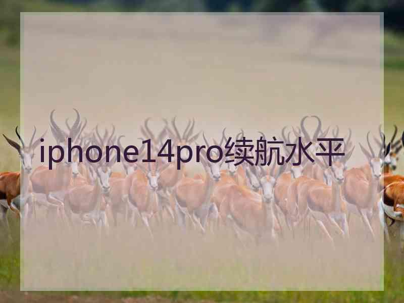 iphone14pro续航水平