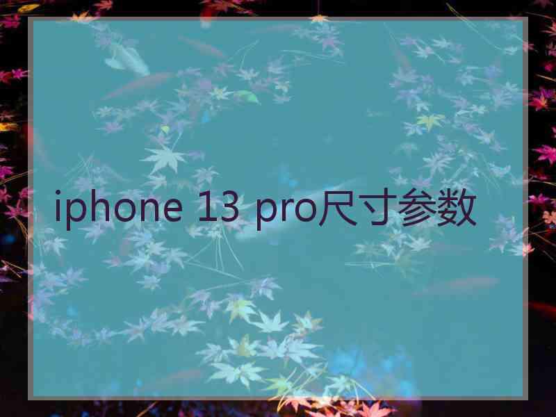 iphone 13 pro尺寸参数