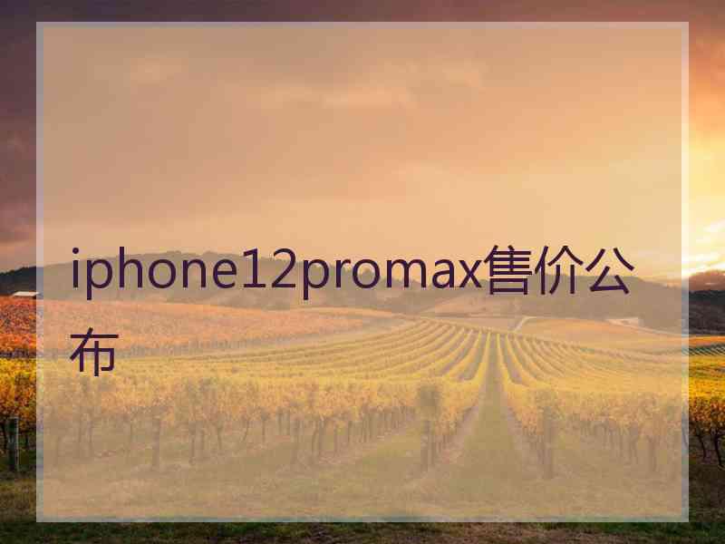 iphone12promax售价公布