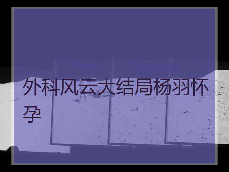 外科风云大结局杨羽怀孕