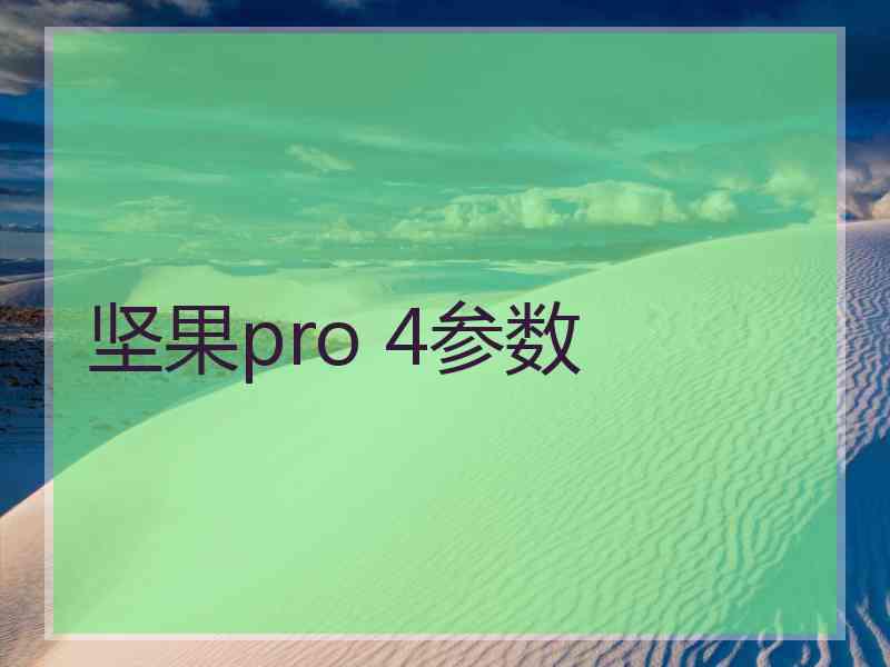 坚果pro 4参数